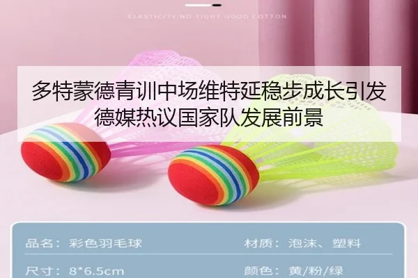 多特蒙德青训中场维特延稳步成长引发德媒热议国家队发展前景